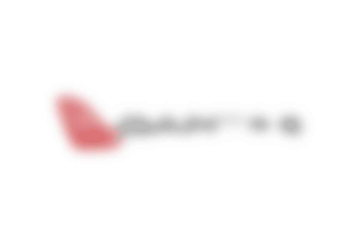 Australia's Leading Airline Company